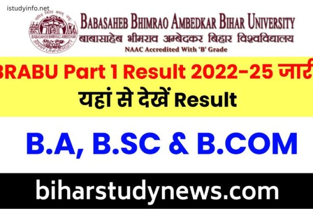 Ba Part 1 Result 2022 Bihar Board