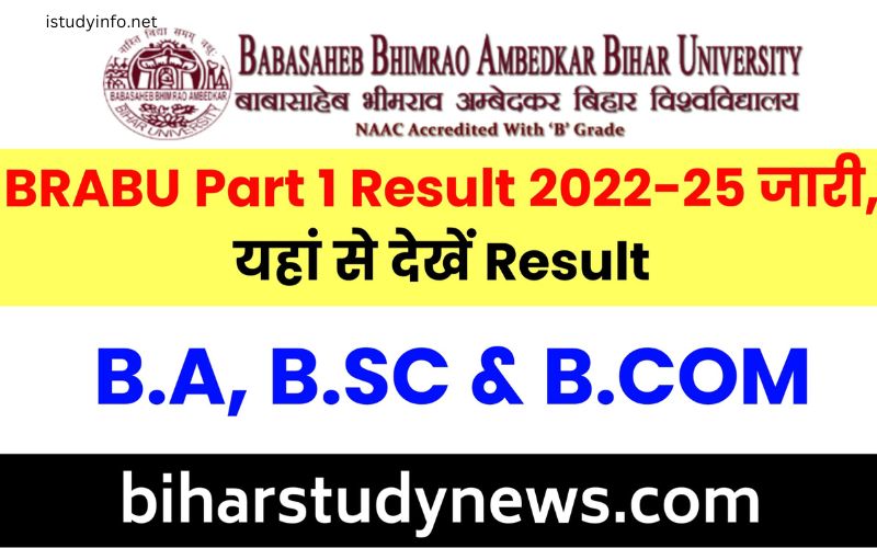 Ba Part 1 Result 2022 Bihar Board