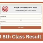 8th Class Result 2023 Punjab Board Roll Number