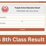 8th Class Result 2023 Punjab Board Roll Number Link