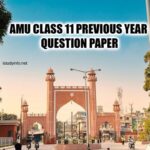 Previous Year Question Paper of Amu Class 11