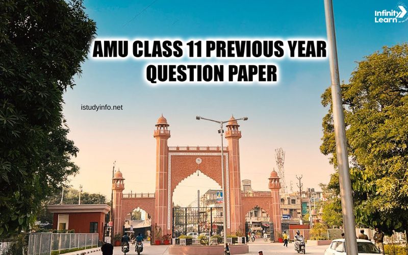 Previous Year Question Paper of Amu Class 11