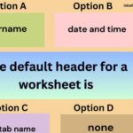 The Default Header for a Worksheet Is