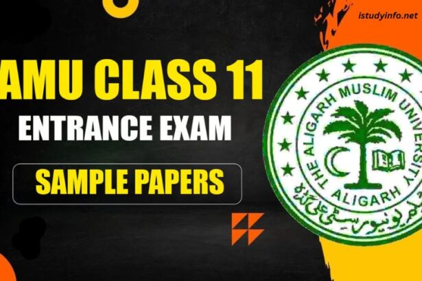 Amu Class 11 Entrance Exam Sample Papers PDF