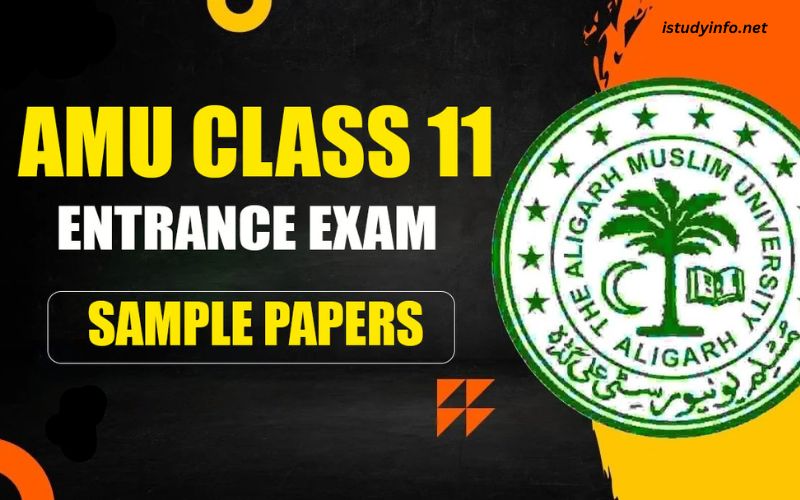 Amu Class 11 Entrance Exam Sample Papers PDF