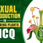 Sexual Reproduction In Flowering Plants Neet Questions