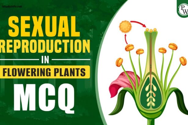 Sexual Reproduction In Flowering Plants Neet Questions