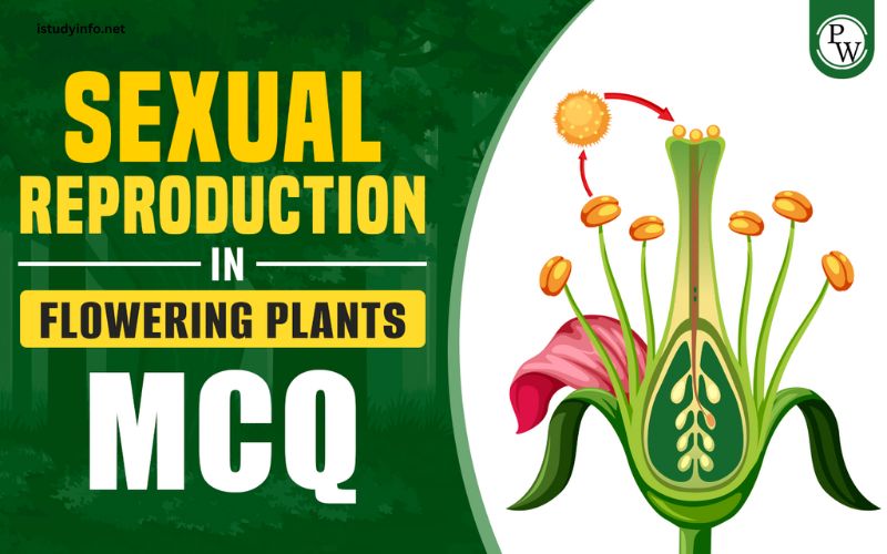 Sexual Reproduction In Flowering Plants Neet Questions