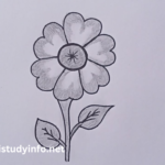 Flower1qk6taauoqk= Beautiful And Easy Pencil Drawing