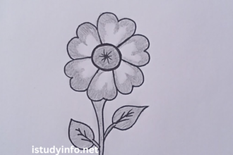 Flower1qk6taauoqk= Beautiful And Easy Pencil Drawing