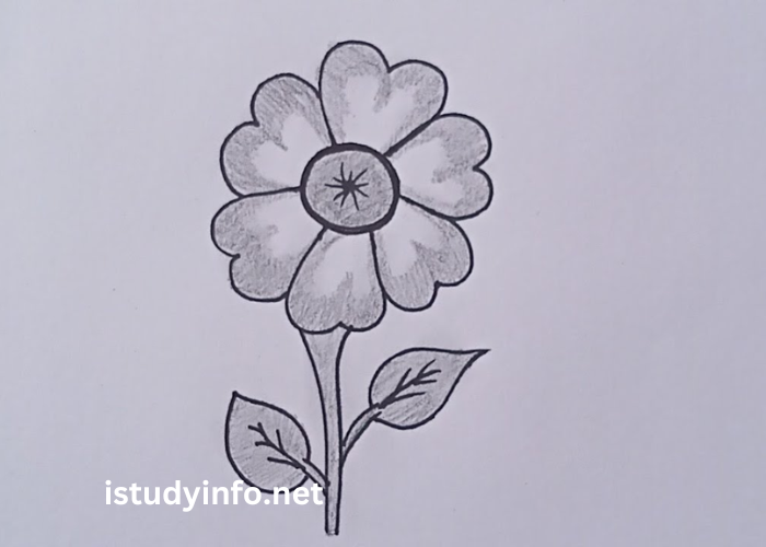 Flower1qk6taauoqk= Beautiful And Easy Pencil Drawing