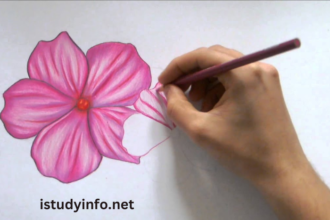 Flower9xgcaw-Dbkc= Pencil Colour Drawing