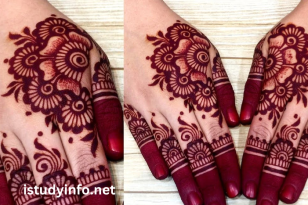 StylishCjjsglool3u= Flower4e6vdccrisg= Mehndi Design